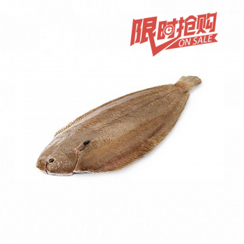 Sole Fish（about1.5-1.7lb）